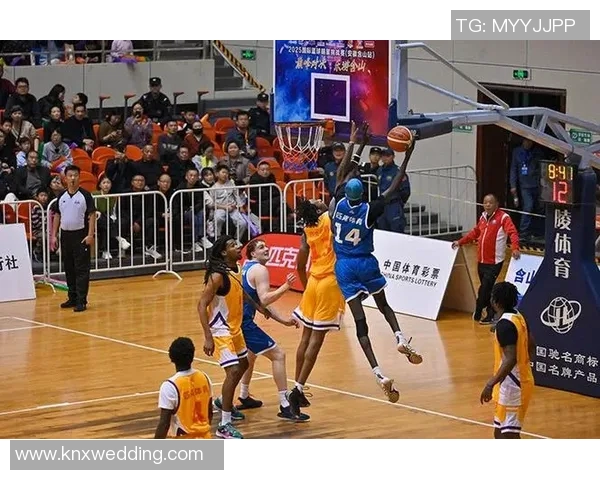 新浪篮球热点小时报丨2025年12月20日12时_今日实时篮球热点速递 新浪篮球热点小时报丨2025年12月20日12时_今日实时篮球热点速递